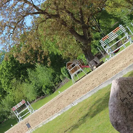 Sternennaechte Auf Einem Echtem Bauernhof